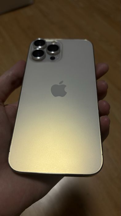 iPhone 13 Pro Max 256GB