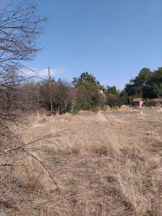 Продава се Парцел в Левски - 2000 кв.м за 1 €/кв.м - Снимка #2