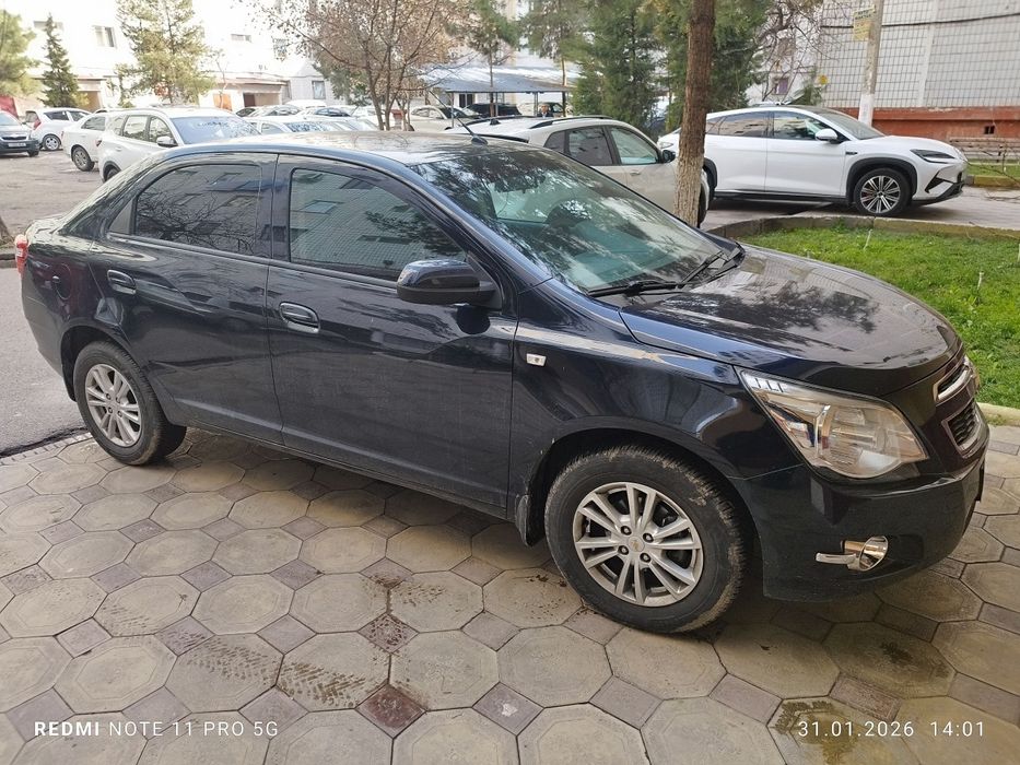 2023/2024 краска тозза