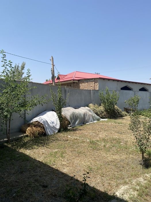 Beda ot bor pres emas boglangan