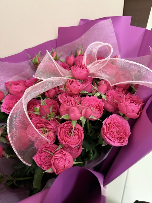 Раковина Биде продается