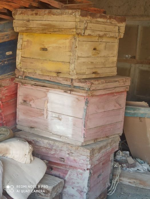 Asal ari yashiklari arzon naqxga sotiladi srochna pul kerak