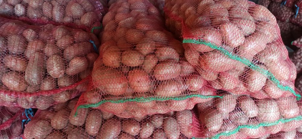 Cartofi pentru consum