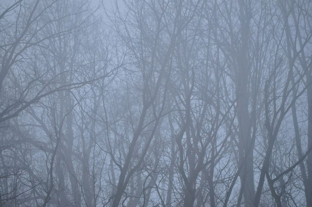 Обектив Nikkor VR 55-200mm, 4.5 - 5.6G + чантичка Fujifilm