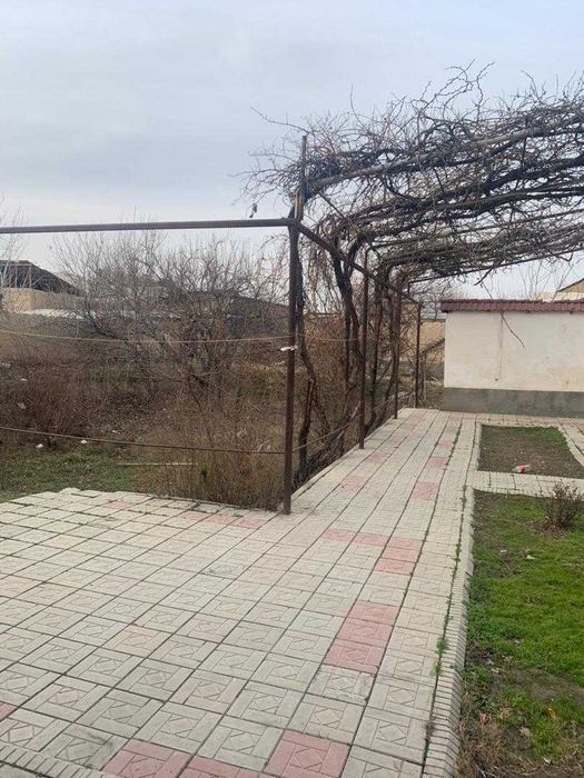 6 so'tixlik uchastka