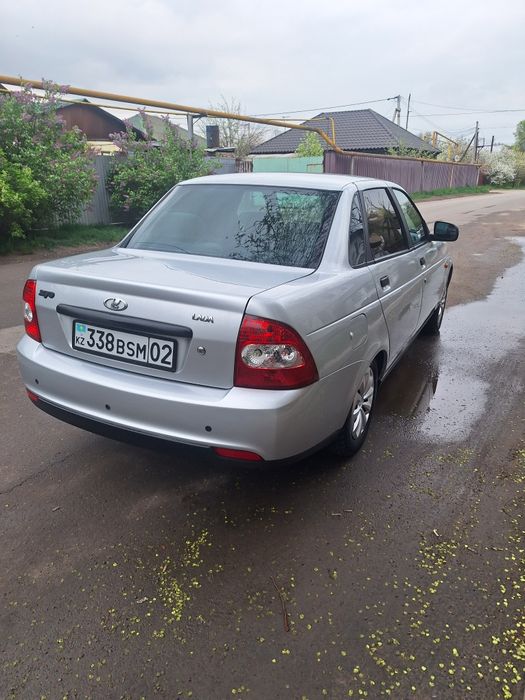 Продам быка алатаской породы