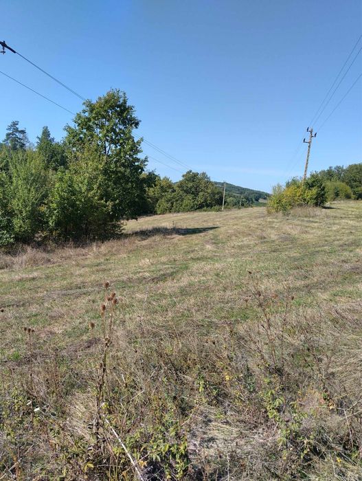 Продава се Земеделски имот в с. Киевци, Област Габрово -  кв.м за 2720 €/дка - Снимка #3