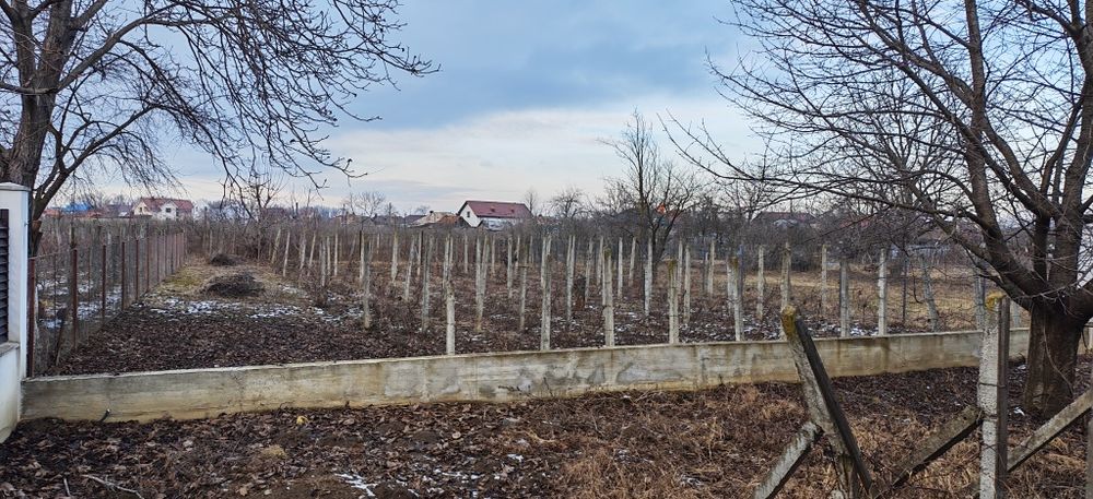 Vilă în Cotul Vameș pretabile și pentru afacere.