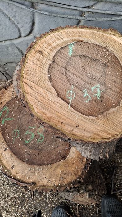 Чурки, силы  ореха