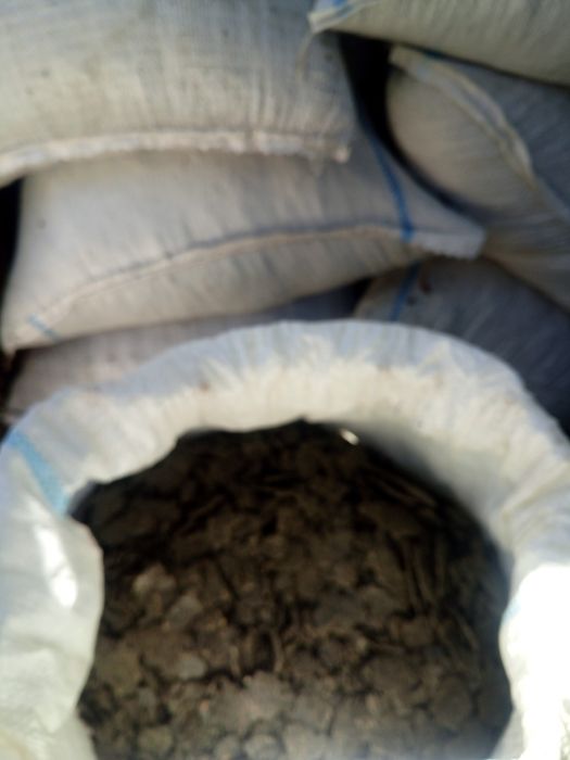 Strot de floarea soarelui