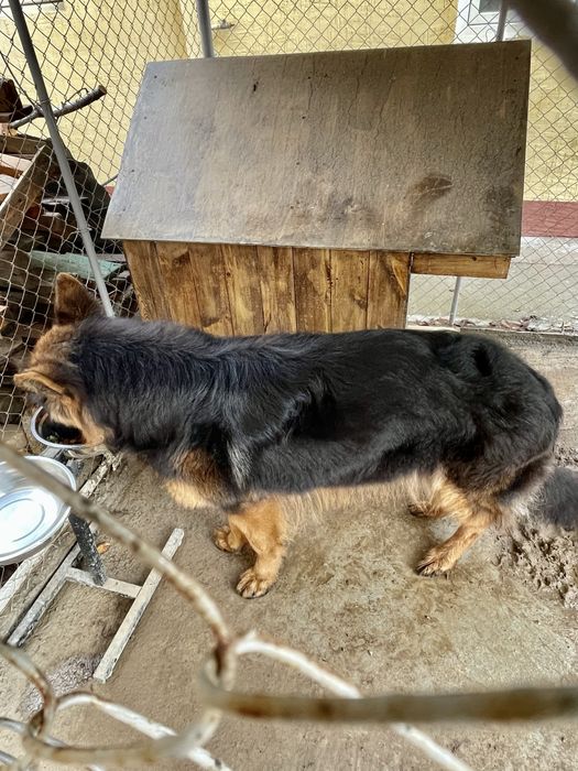 Ищем девучку для вязки мальчику 3 года