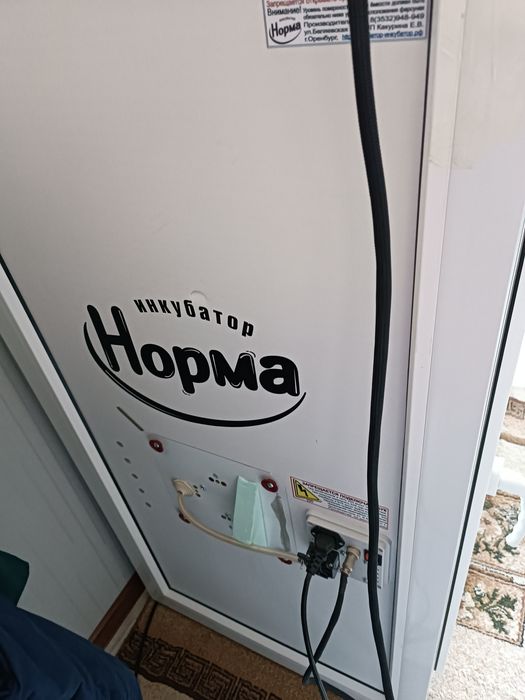 Инкубатор норма рейс