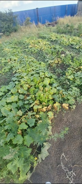 Продам дом в г.Тобыл