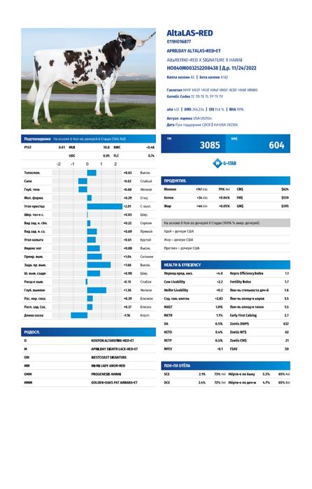 Семя быка из Америки Алта Генетик Suniy urug‘lar