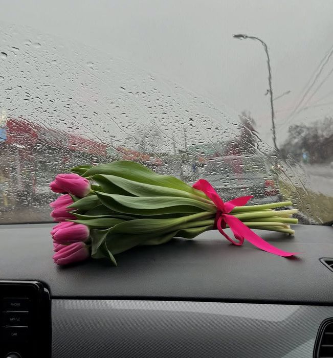 Тюльпаны на 8 марта. Подарки к 8 марта