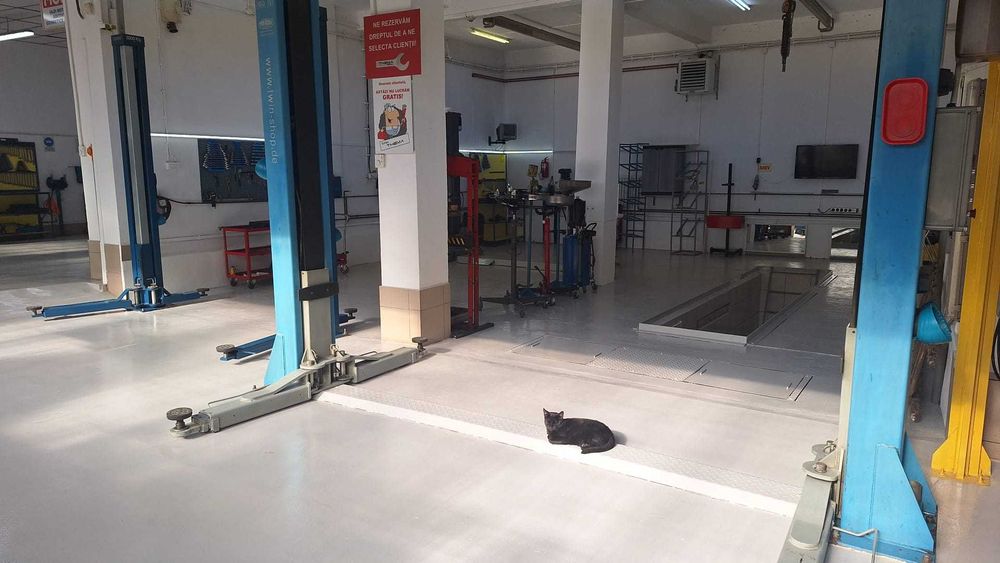 SERVICE AUTO de schimb/vanzare Ploiesti