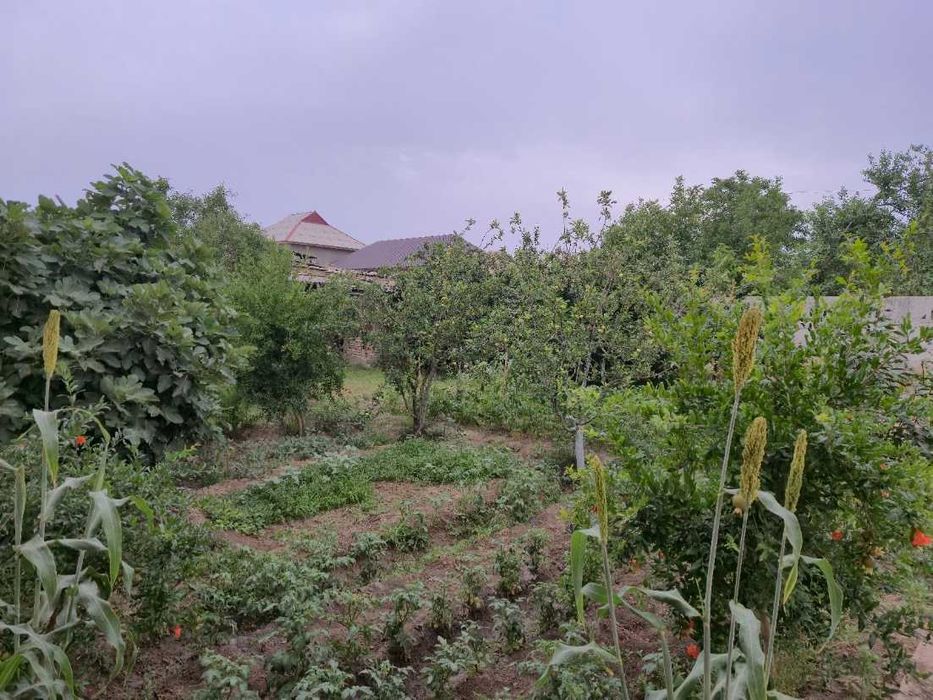 Нуробод эски мерныйда ховли сотилади 20 сотих Ипотекага хам курилади