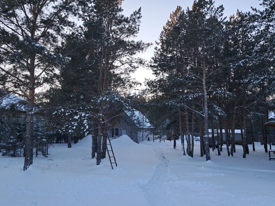 Баня пар отдых .