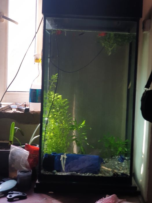 Продам аквариум 150 литров 50000 тг.