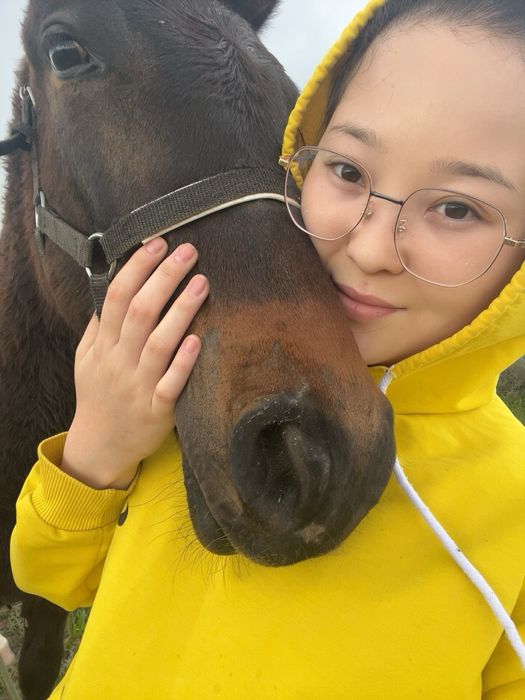 Жеребец лошадь