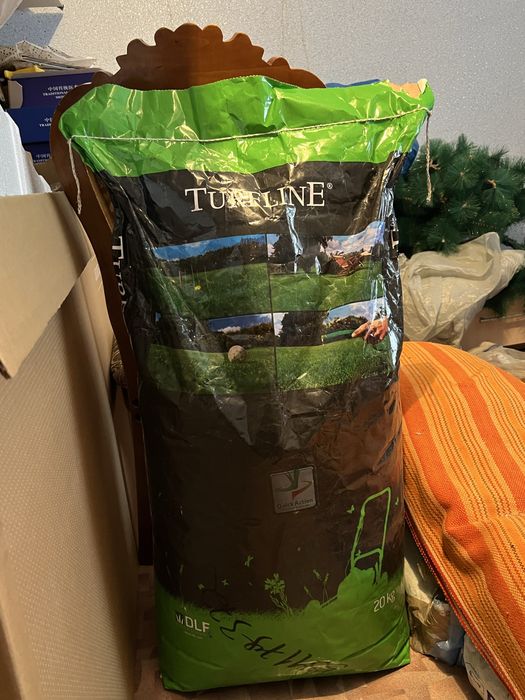 Газон спортный семена