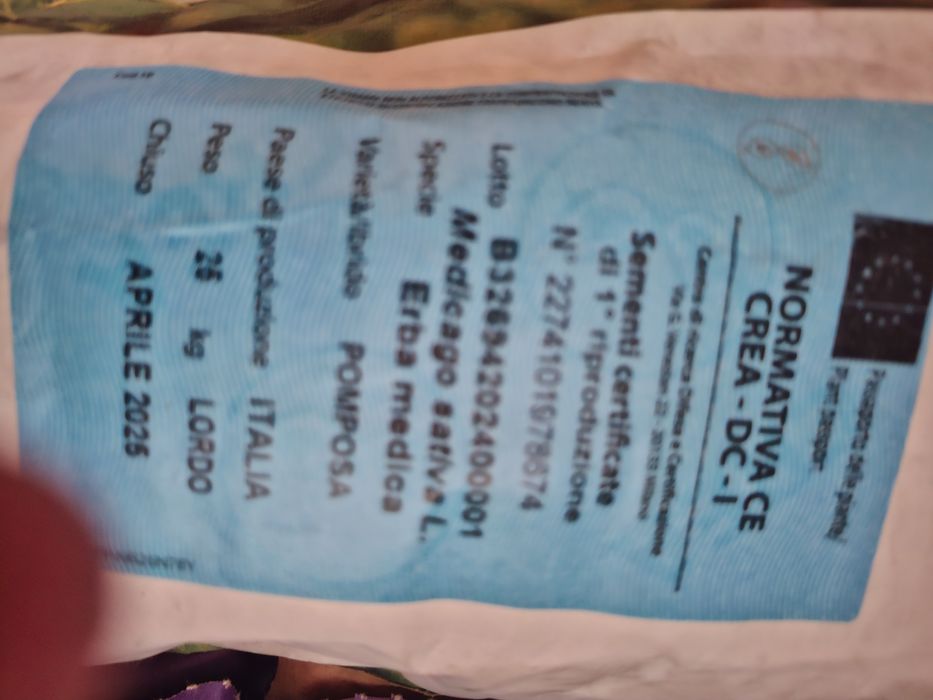 Samanta lucernă certificată