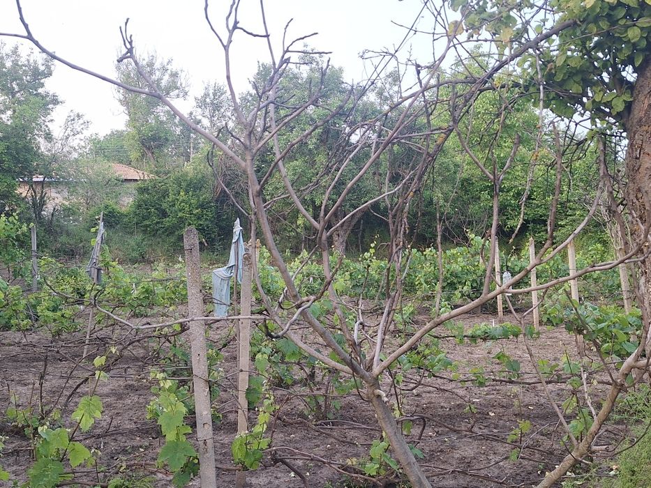 Продава се Къща в Попово - 130 кв.м за 216 €/кв.м - Снимка #5