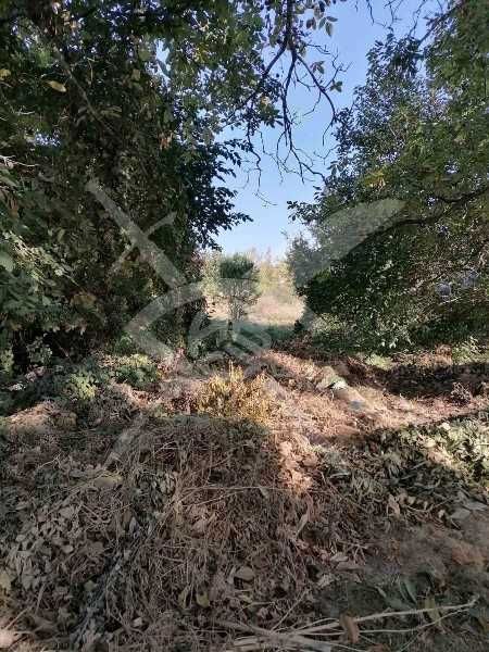 Продава се Парцел в с. Браниполе, Област Пловдив - 1854 кв.м за 118 €/кв.м - Снимка #1