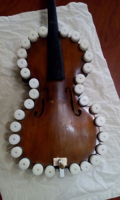 Професионални лютиерски услуги