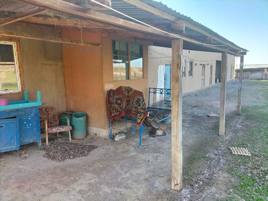 Фазенда, кашара 200га