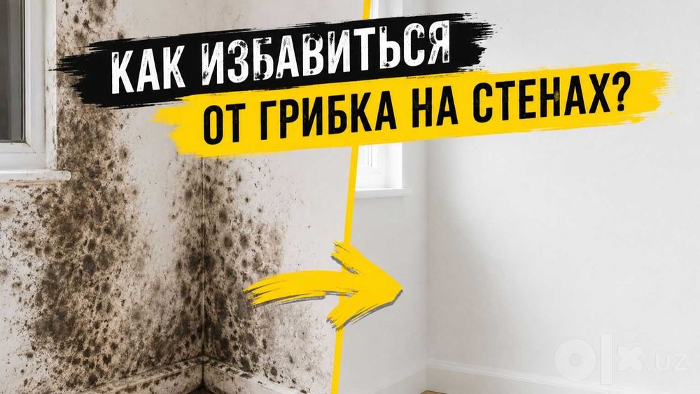 Muffasan: профессиональная защита стен от плесени и грибка