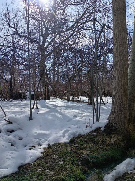 Bustonliq tumani sijjak qishlog'i yer sotiladi