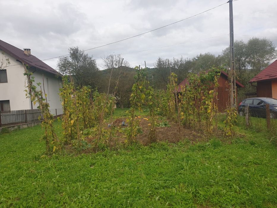 Vand teren si casa veche in viseu de jos