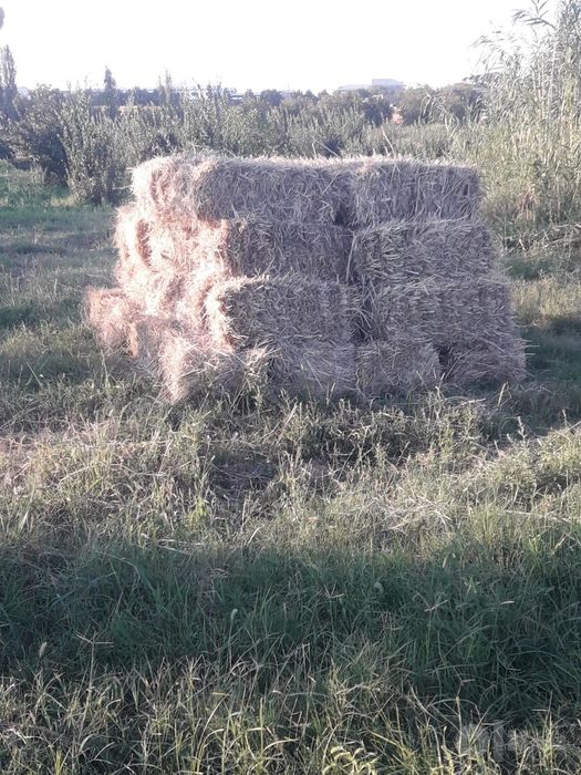 Прес хашак , огир прес к,илинган . Барака топасила .