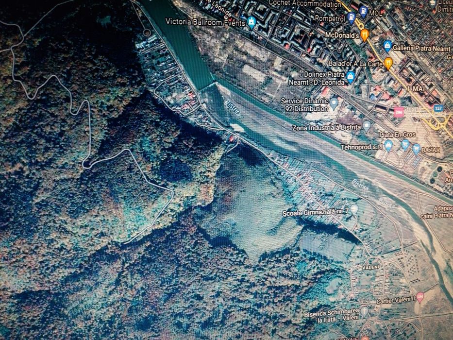 Teren extravilan cu vegetație forestieră Piatra Neamț