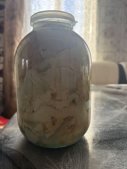 грибы соленые грузди