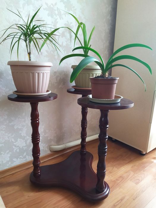 Подставка под цветы. Пальма Панданус.