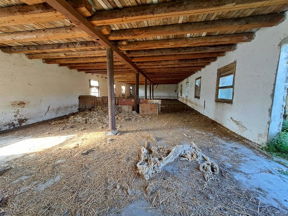 Vând teren intravilan l in suprafața 19000 mp. și hala