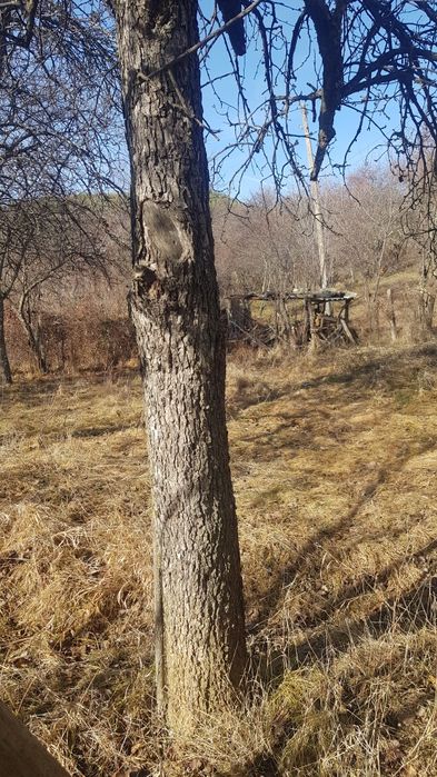 Продава се Къща в с. Горна Брестница, Област Кюстендил - 80 кв.м за 370 €/кв.м - Снимка #6