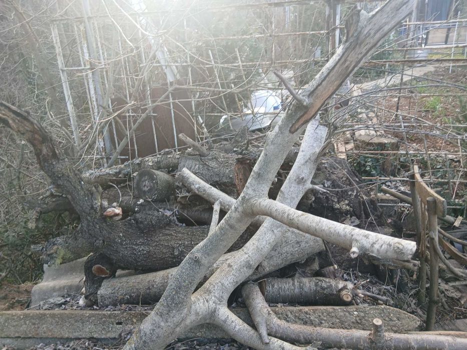 Дърва за огрев сухи