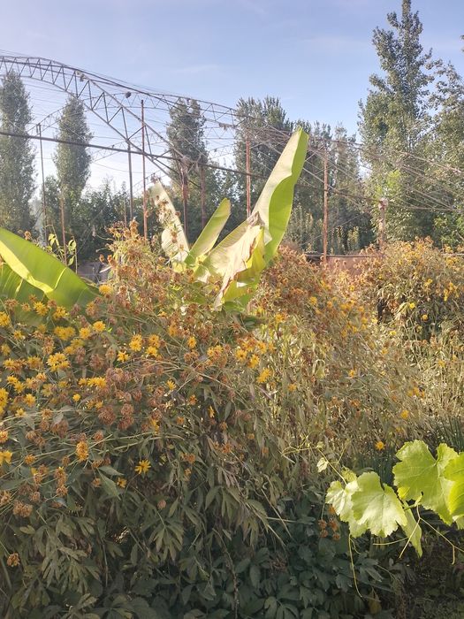 Срочно продается участок!