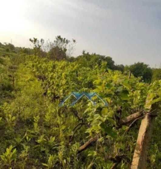 Продава се Къща в с. Страшимирово, Област Варна - 50 кв.м за 1440 €/кв.м - Снимка #9