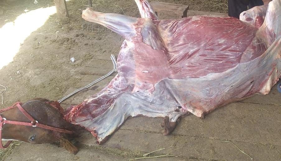 Вынужденый забой