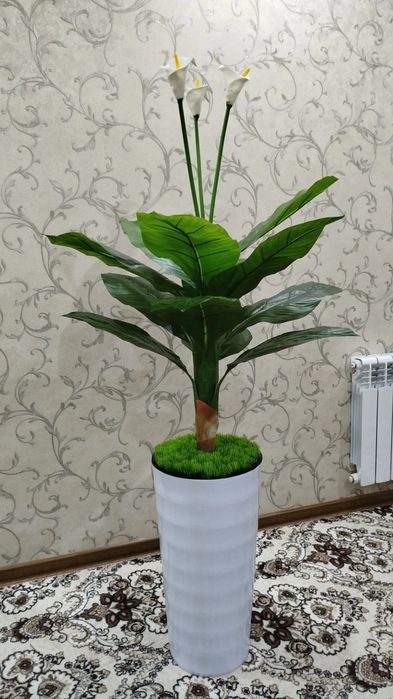 Katta Kala suniy dekarativ gullarimiz sotiladi