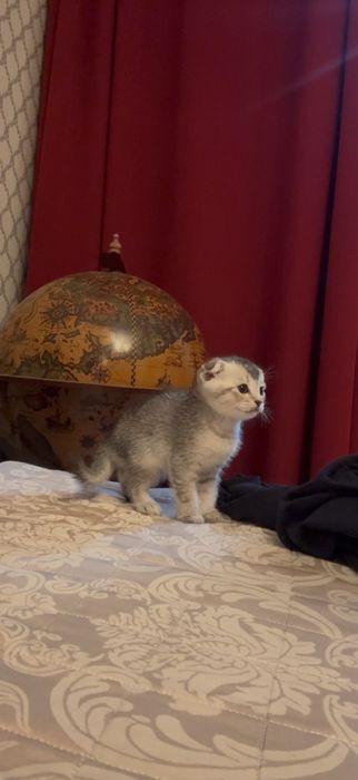 24/7 хабарласа берсениздер болады