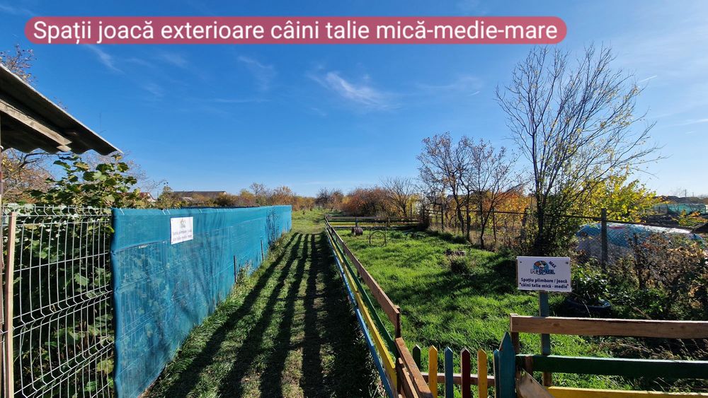 Casa de vânzare-Cefa-Bihor