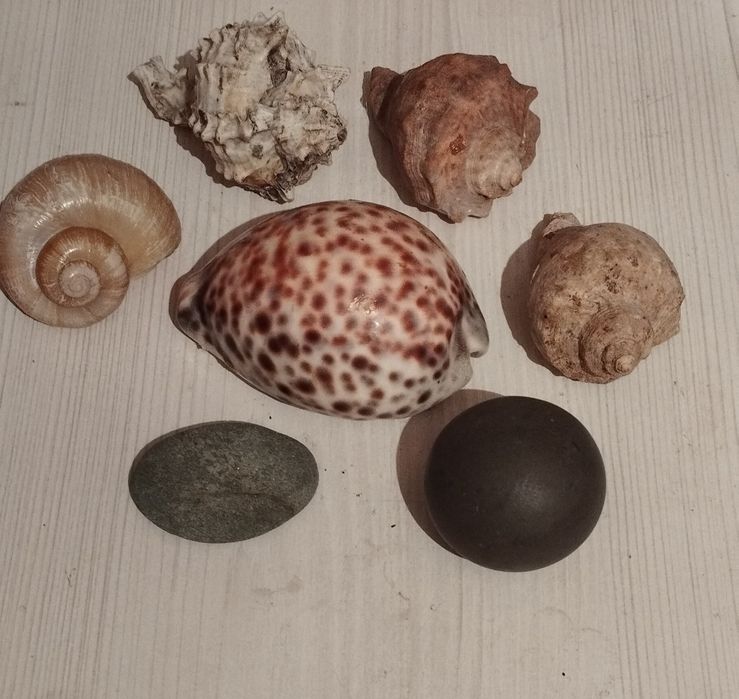 Декор для аквариума