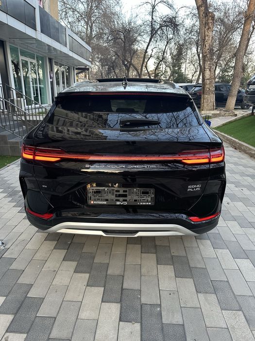 Byd Chempiyon Honor 2024 Yil