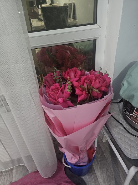 Продам цветы свежие