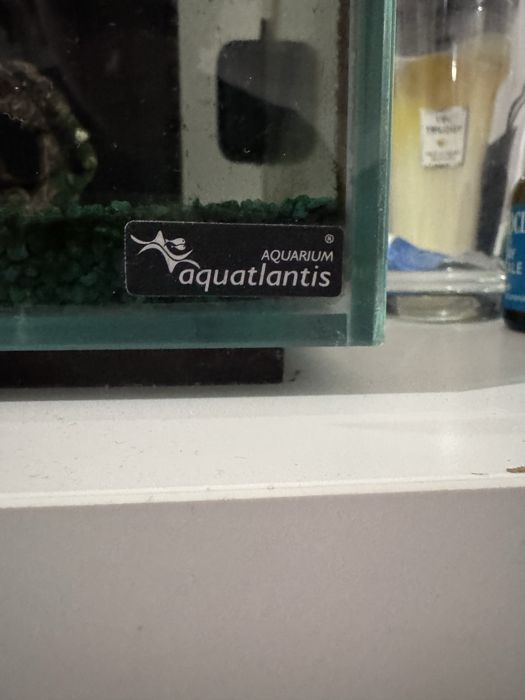 Acvariu aquatlantis nano cubic 40L full